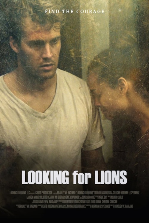 Looking for Lions poster